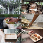 Compostable Square Palm Leaf Plates 8 Inch with Forks & Knives (50 Each) - Like Bamboo Plates, Disposable Party Plates, Biodegradable, Eco-Friendly, Microwave & Oven Safe