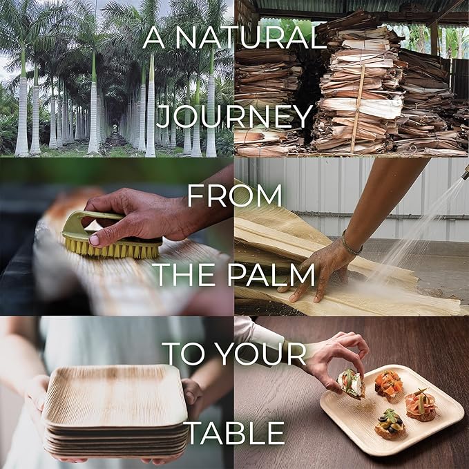 Compostable Square Palm Leaf Plates 8 Inch with Forks & Knives (50 Each) - Like Bamboo Plates, Disposable Party Plates, Biodegradable, Eco-Friendly, Microwave & Oven Safe