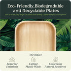 Palm Leaf Plates 10 Inch Bamboo Paper Disposable 50 Bulk Dinner Square Party Plates Event Tableware Eco Biodegradable Compostable Wooden Plate Best Alternative to Plastic Plate, By KoalaLove