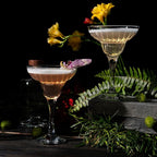 Margarita Glasses with Stem - Crystal Glassware for Bar - Aqua Rim Margarita Glass - Modern Bar Glass for Martini, Cocktail, Water, Wine, Mixing Cocktails, Gin and Tonic Glasses - Set of 2 - 10 oz