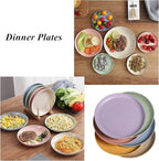Wheat Straw Plates Lightweight Unbreakable Dinner Dishes Plates Set Dishwasher & Microwave Safe (Small 6 Pack 5.9')