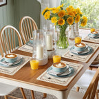 Placemats Set of 4, Heat Resistant & Waterproof Table Mats for Dining, Non Slip Scratch Proof Place Mats for Kitchen, Easy to Clean - Outdoor,Indoor Use（17x12 Inch）