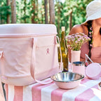 Hydro Flask Cooler Bag - Insulated Soft Lunch Bag - 20 L Capacity in Koala Gray and Black