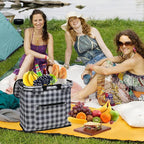 Insulated Picnic Basket,40L Leak-Proof Cooler Bag,Grocery Basket with Lid,2 Sturdy Handles,Storage Basket for Picnic, Picnic Basket for 4 Persons (Black Grid)