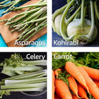 Lurch Germany Asparagus & Stem Vegetables Y Peeler 5.1 x 2.3 Inches / 13 cm x 6 cm - Gray