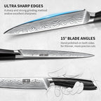 5 Pieces Knife Set, Professional Powder Steel Chef Knife Set, Ultra Sharp Japanese Kitchen Knives Set with Ergonomic Pakkawood Handle