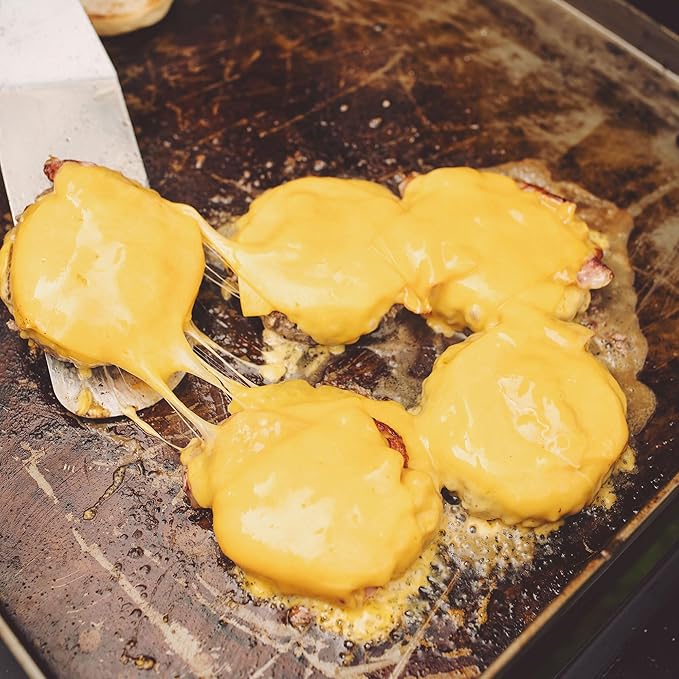 Razor Griddle 25 Inch Outdoor 2 Burner Portable LP Propane Gas Grill Griddle with 318 Square Inches and Top Cover Lid for BBQ Cooking, Black