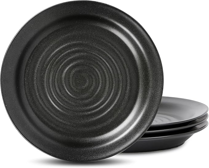 Stone Lain Orbit 4-Piece Dinner Plate Set Stoneware, Charcoal