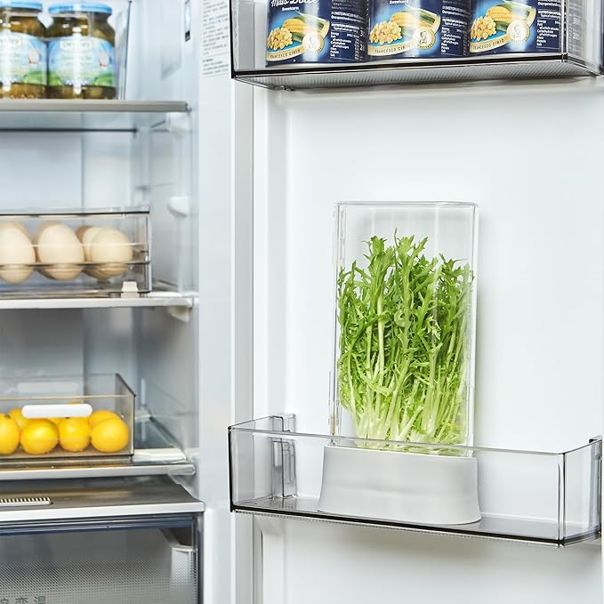 vacane Herb Keeper for Refrigerator, Fresh Herb Saver Herb Storage Containers, Cilantro Container for Fridge Asparagus Container, Dishwasher Safe-2 Pack