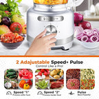 Homtone 16 Cup Food Processor, 9 Functions 7 Blades 3 Speeds for Shredding, Slicing, Doughing, Emulsfying and Meat Vegetable Chopping for Home Use, 600W (Sliver)