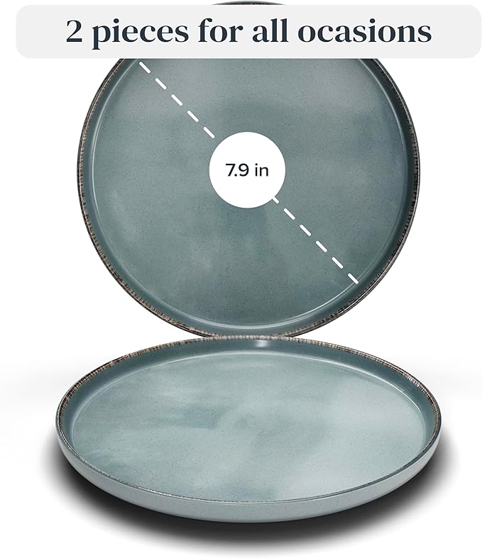 Stoneware Small Dinner Plates Set of 2, Modern Rustic -Style, 7.9"" Ceramic Plates, Dishwasher, Microwave Safe, Kitchen Plates-Rustic Blue, Large