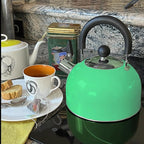 Lily's Home 2 Quart Stainless Steel Whistling Tea Kettle, the Perfect Stovetop Tea and Water Boilers for Your Home, Dorm, Condo or Apartment. (Pastel Green)