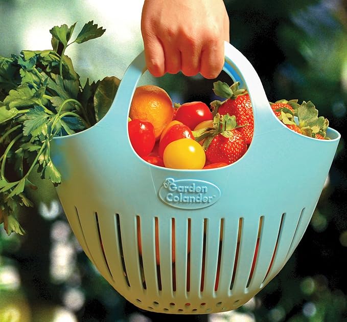 Hutzler Mini Colander Garden Basket, Small, Green