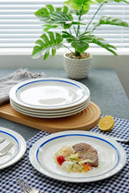 9-inch Porcelain Dinner Plate Set of 6 - Microwave, Oven and Dishwasher Safe, Scratch Resistant. (9-inch Blue)