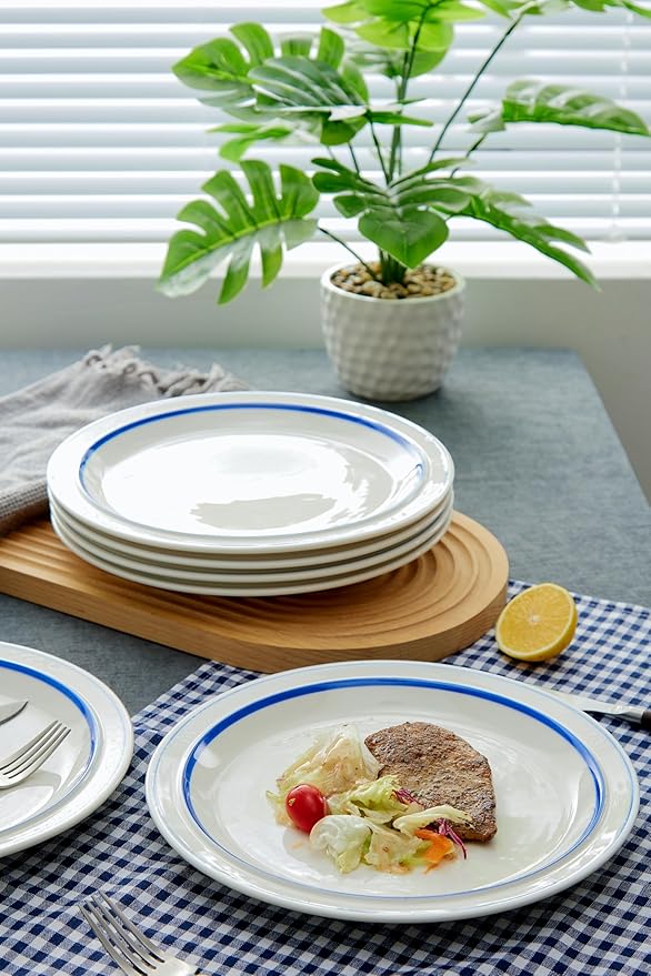 9-inch Porcelain Dinner Plate Set of 6 - Microwave, Oven and Dishwasher Safe, Scratch Resistant. (9-inch Blue)