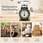 Taylor Mechanical Kitchen Weighing Food Scale with Bowl, Weighs up to 11lbs, Measures in Grams and Ounces, Food Scales for Kitchen, Green