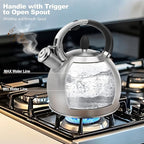 Stainless Steel Tea Kettle, Tea Kettles Stovetop, Vintage Whistling Teapot for Stove, Durable and Rust-Resistant, With a Pot Holder Included, 2.64 Quart(Brushed Style)