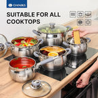 Daniks Modern 2 Quart Stainless Steel Stock Pot with Glass Lid, Tri-Ply Bottom for Even Heating, Induction Compatible, Dishwasher Safe, Heatproof Handles