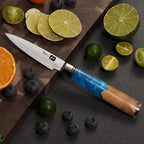 Classic Paring Knife 3.5 Inch, Japanese VG10 Steel Damascus Fruit Knife, Sharp Small Kitchen Knife with Gift Box and Resin Wood Handle,Ideal Birthday Gift for Men and Women