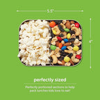 LunchBots Small Snack Packer Bento Box - Extra Small Divided Stainless Steel Snack Container - 2 Compartments for Fruits, Vegetables and Finger Foods - Dishwasher Safe – Stainless Lid