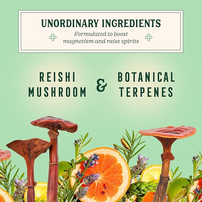 Little Saints Mocktails Non Alcoholic Drinks, Paloma (12 Pack) - Plant-Based & Alcohol-Free Paloma Cocktail Mixers - Sugar-Free Ready-to-Drink Sparkling Beverage for Parties & Celebrations, 8 Oz Cans