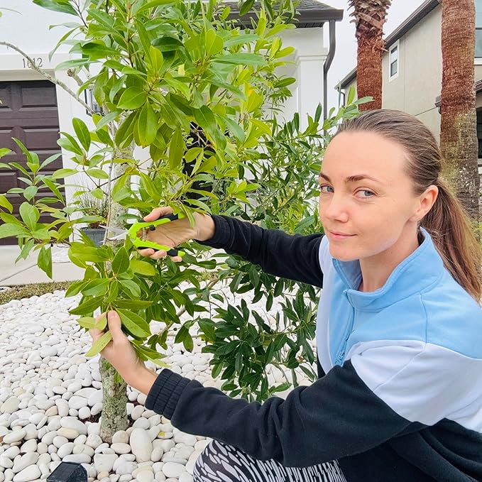 BEoffer 4 Pack Pruning Shears, 6.5 Inch Garden Scissors Gardening Hand Pruning Snips with Straight Stainless Steel Precision Blades for Gardening Flower Plant Precise Trimming and Pruning Maintenance