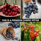 Kichvoe 1 Pc Pitter Remover Maraschino Cherries Pitted Olives Stone Remover Jujube Corer Pitter Tool Plum Kitchen Gadgets Deseeder Jam Fruit Vegetable Tool Dates