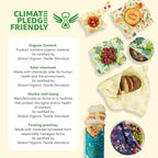 Bee's Wrap Beeswax Wraps for Food - Mushroom Magic 3 Pack (S, M, L) Made in USA Reusable & Organic Food Wraps, Sandwich Wrap & Bowl Covers - Eco-Friendly Alternative to Aluminum Foil & Plastic Wrap