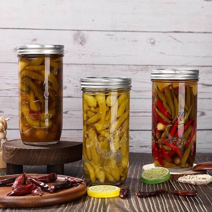 Mason Jars Wide Mouth 24oz, 10 pack Glass Pickle Canning Jars Food Storage With Airtight Mason Jar lids and Bands for Canning, Preserving, Fermenting, Pickling for Microwave/Freezer/Dishwasher