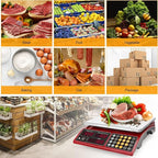 Price Computing Scale 66lb Digital Rechargeable Commercial Kitchen Weight for Produce Food Meat Fruit Vegetable with Dual Display, Give Change Function, 5 Direct Plus Included, Not for Trade