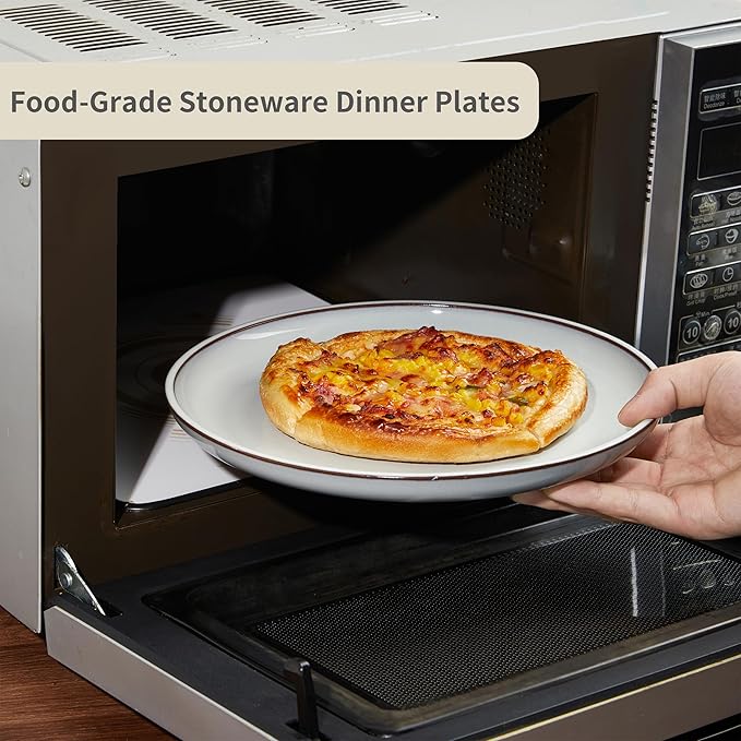 10 Inch Ceramic Plates, White Dinner Plate Set for Dessert Pizza Steak, Terracotta Kitchen Stoneware Serving Dishes Set, Dishwasher & Microwave Safe, Scratch Resistant