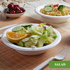 Vplus 200 Pack 16 OZ Paper Bowls, Disposable Compostable Bulk, Eco-friendly Bagasse, Heavy-duty Bowls Perfect for Milk Cereals, Snacks, Salads