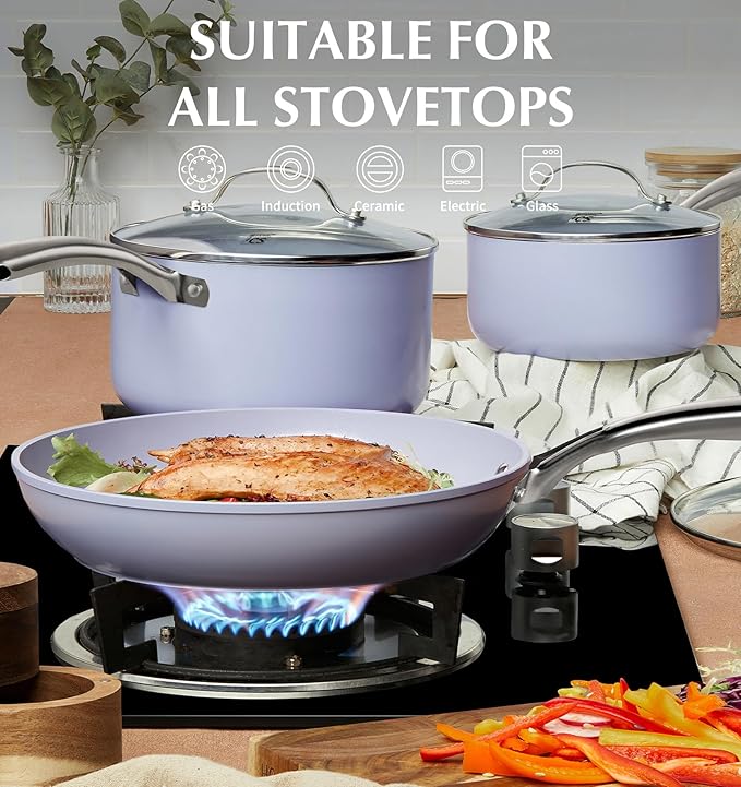 KOCH SYSTEME CS Nonstick Sauce Pan with Lid, 1 Quart Saucepan with Lid, 1 QT Nonstick Ceramic Small Sauce Pan with Stainless Steel Handle, Non-Toxic Ceramic Saucepan, Oven Safe, Purple