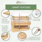 Large Glass Bento Box Containers with Bamboo Lids, 3 Compartment Glass Meal Prep Container Set (2 Pack, XL) - 100% Plastic Free, Eco-Friendly Lunch Containers, Bento Boxes for Adults