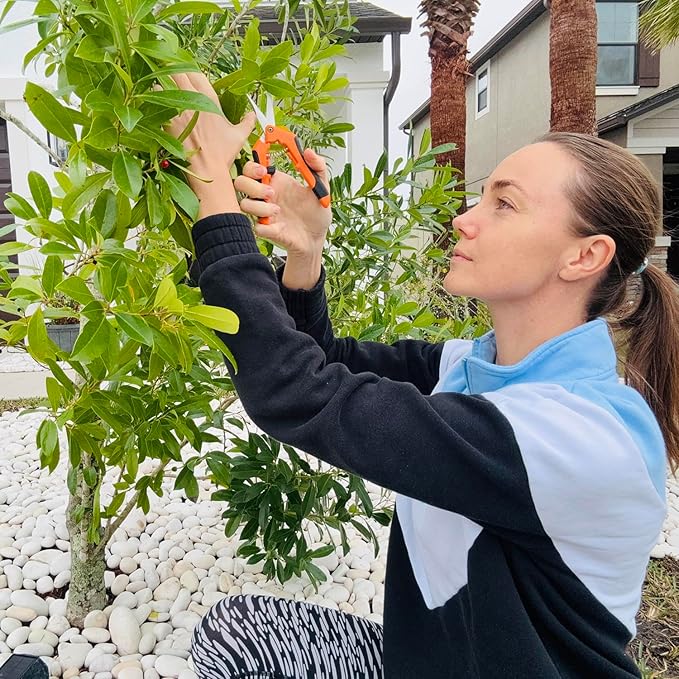 BEoffer 4 Pack Pruning Shears, 6.5 Inch Garden Scissors Gardening Hand Pruning Snips with Straight Stainless Steel Precision Blades for Gardening Flower Plant Precise Trimming and Pruning Maintenance