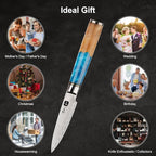 Classic Paring Knife 3.5 Inch, Japanese VG10 Steel Damascus Fruit Knife, Sharp Small Kitchen Knife with Gift Box and Resin Wood Handle,Ideal Birthday Gift for Men and Women