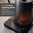 Greater Goods Electric Gooseneck Kettle, 1200W Stainless Steel with Precision Temperature Control, Fast Boil, BPA-Free, Ideal for Pour Over Coffee and Tea,1L (Onyx Black)