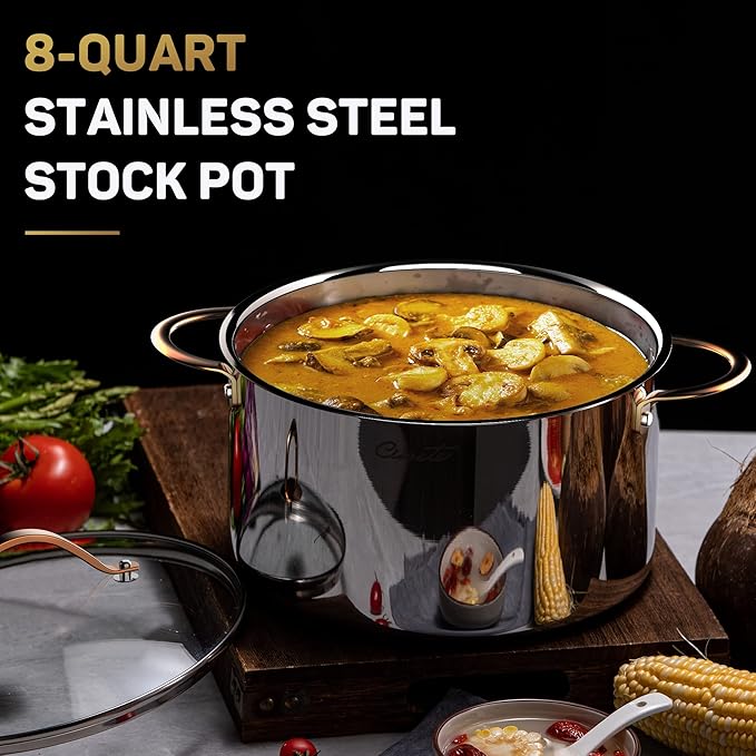 8 Quart Stock Pot, 3 Ply Whole Clad Stainless Steel Stock Pot, 8 QT Cooking Pot with Lid, Induction Pot for Cooking, 18/10 Stainless Steel Cookware Stockpots Oven, Gas and Dishwasher Safe
