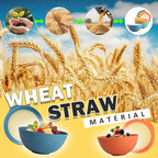 Wheat Straw Bowls Set with Lids, Unbreakable 40 OZ Cereal Bowls Set of 4, Salad Container for Lunch, Microwave & Dishwasher Safe Bowl Set for Kitchen, Picnic, RV, Camping, Multi