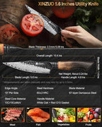 XINZUO 5.6 inch Paring Petty Knife,High Carbon 67 Layers Damascus Steel Fruit and Vegetable Small Kitchen Utility Knife,Burnt Wood Handle
