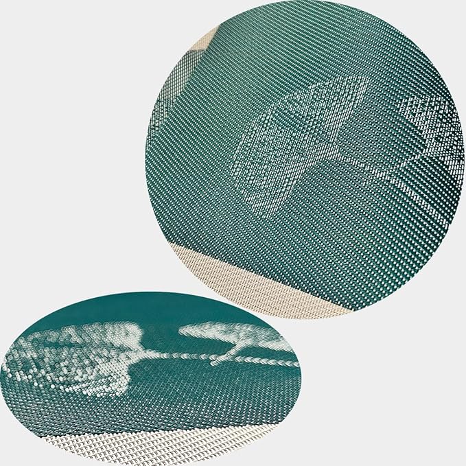 PIGCHCY Placemats Set of 8, Country Rustic Placemats Non-Slip Washable Durable Table Mats for Home/Dining Room Decoration (Green,18 X 12 inches)