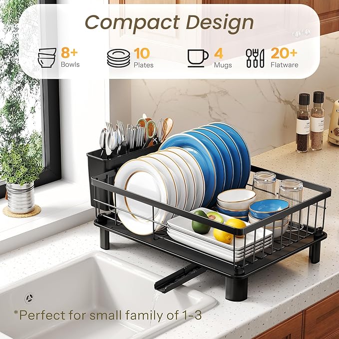 Dish Drying Rack - Small Dish Rack for Kitchen Counter, Stainless Steel Dish Drainer with Utensil Holder and Drainboard (Black)