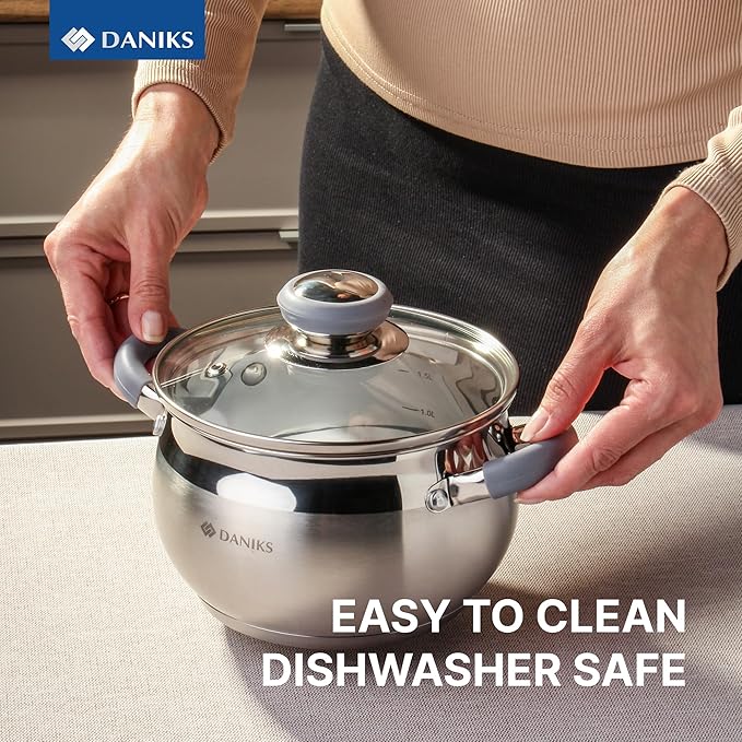 Daniks Modern 2 Quart Stainless Steel Stock Pot with Glass Lid, Tri-Ply Bottom for Even Heating, Induction Compatible, Dishwasher Safe, Heatproof Handles