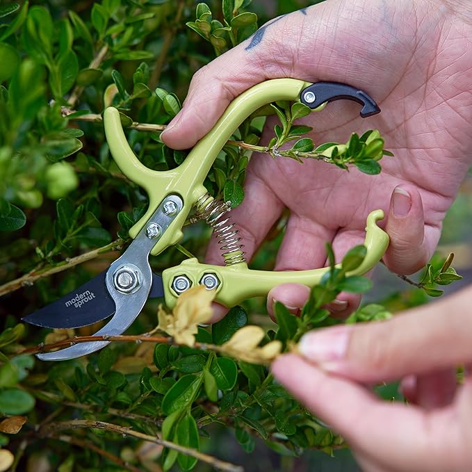 Modern Sprout Hand Pruners - Lightweight Pruning Shears W/Easy Lock- Gardening Scissors - Bypass Sharp Carbon Steel Blade - Rust Resistant - Garden Tools - Reusable Holster - Chartreuse