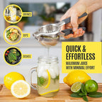 Large Lemon Squeezer Stainless Steel Press - Non-Slip Grip, Heavy Duty, Manual Design - Effortless Pro-Grade Lemon, Lime, Orange, and Citrus Fruit Hand Held Lemon Juicer Squeezer - No Seeds, Max Juice