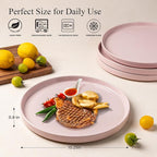 AmorArc Ceramic Dinner Plates Set of 6, 10.25 Inch Stoneware Plates for Kitchen,Modern Flat Dinnerware Dishes Set,Microwave& Dishwasher Safe, Scratch Resistant-Pink