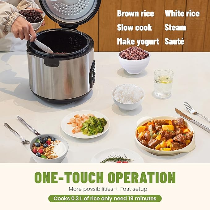 10-Cup Uncooked Rice Cooker & Food Steamer - Ceramic Non-Toxic Inner Pot, One-Touch Multifunction for Rice/Sauté/Yogurt, Dishwasher Safe, 3-10 Family Size, Stainless Steel
