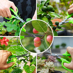 2PCS Garden Scissors, Curved Blade,6in Pruning Shears Snips Non-stick Coated Sharp Steel Blades - Gardening Tools Garden Shears for Plants Herb Flowers in Grow Tent and Hydroponics