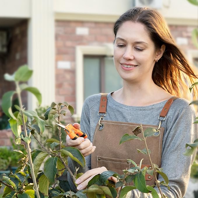 VIVOSUN 6-Pack 6.5 Inch Gardening Scissors Hand Pruner Pruning Shear with Straight Stainless Steel Blades Orange