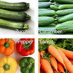 Lurch Germany Julienne Vegetable Y Peeler 5.1 x 2.3 Inches / 13 cm x 6 cm | Stainless Steel Cutter & Slicer for Carrot, Potato & Apple | Veggie Zoodles Maker | Non-slip Comfortable Handle - Black